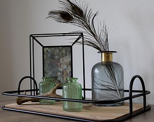 Decoratieve details in Nieuwlanderweg 75 vakantiehuis, De Koog, Texel, met een elegante vaas en natuurlijke accenten.