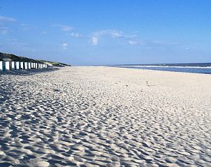 Guest house 010356 - Holiday property Texel - Huisje TOR 10 test