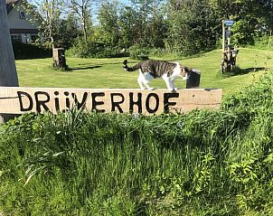 Guest house 010401 - Holiday property Texel - Appartement 3 persoons