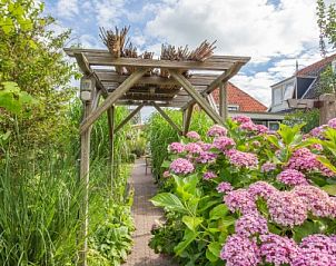 Prachtige tuin van Bungalow De Tuinfluiter in Den Burg, Texel met bloeiende hortensia's en natuurlijke wandelpaden.
