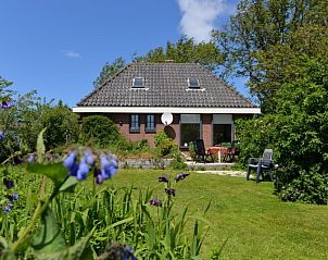 Verblijf 0104117 - Vakantiewoning Texel - Kippenstein