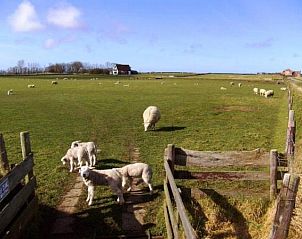 Uitzicht vanuit de woonkamer van NH198 vakantiehuis Den Burg Texel.