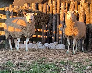 Zonsondergang over het strand nabij NH198 vakantiehuis Den Burg Texel.
