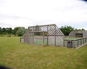 Unterkunft 0104159 - Ferienhaus Texel - NH010