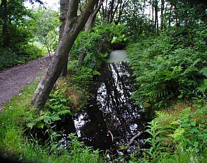 Unterkunft 0104159 - Ferienhaus Texel - NH010