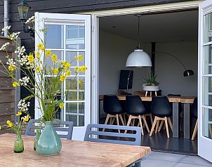 Guest house 0104186 - Holiday property Texel - Waddenweelde Texel