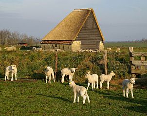 Unterkunft 0104196 - Ferienhaus Texel - Tempelier 39