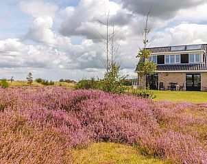 Vakantiehuisje in Den Burg omringd door paarse heide op Texel, Waddeneilanden.