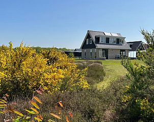 Vakantiehuisje in Den Burg met bloeiende struiken op Texel, Waddeneilanden.