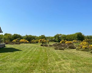 Groene tuin bij Vakantiehuisje in Den Burg, ideaal voor ontspanning op Texel, Waddeneilanden.