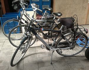 Fietsen te huur bij De Bedstee, vakantiehuis Den Burg, Texel voor verkenning van het eiland.