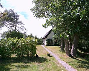 Guest house 0105102 - Holiday property Texel - Nieuwegrachtje