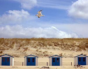 Verblijf 0105111 - Vakantiewoning Texel - 42884
