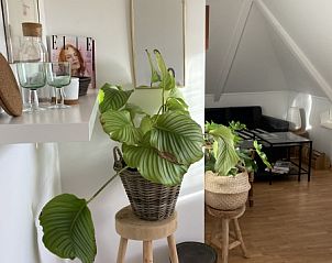 Gemtlicher Innenraum des Double Studio 2/3, Den Hoorn, Texel mit Grnpflanzen.