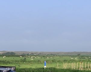 Guest house 010536 - Holiday property Texel - 4780 - Van der EL