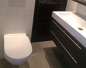 Stylish bathroom with toilet and sink in Achterhuis vacation home Den Hoorn Texel.