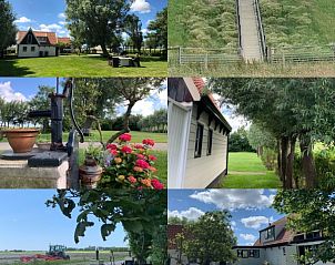 Groene omgeving en charmante details van 't Kaaps Huussie, een vakantiehuis in Oosterend, Texel, Waddeneilanden.