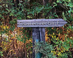 Sonniger Auenbereich des Ferienhauses in Oosterend, Texel, mit Terrasse und Sitzgelegenheiten.