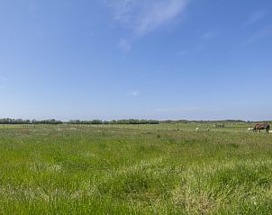 Unterkunft 0106118 - Ferienhaus Texel - Nieuwlanderweg 53A