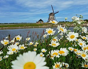 Unterkunft 010619 - Ferienhaus Texel - Caravan met voortent
