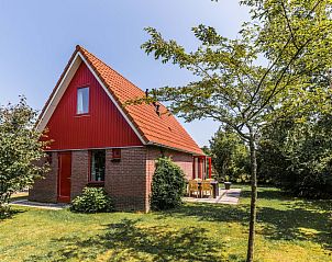 Type II - nr. 81 Witte Kwikstaart, vakantiehuis met rode gevel in Oosterend, Texel, omgeven door groen.