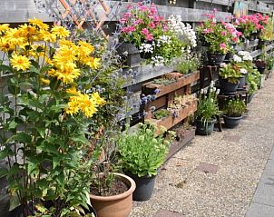 Guest house 010704 - Holiday property Texel - 't Achterhuis