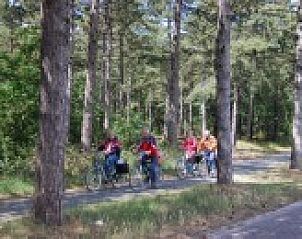 Unterkunft 010802 - Ferienhaus Texel - Hoogelandt 10 - Awali