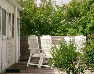 Zonnig terras van Vakantiepark de Bremakker - Bosveld 104, omringd door groen in De Dennen, Texel.