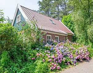 't Mienthuis - De Prins vakantiehuis in De Dennen, Texel omgeven door kleurrijke hortensia's en groene natuur.