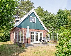 Zonnig terras bij 't Mienthuis - De Prins vakantiehuis in De Dennen, Texel met comfortabele ligstoelen.