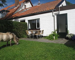 Swalefie Ferienhaus mit Sonnenterrasse und Weidepferd in De Dennen, Texel