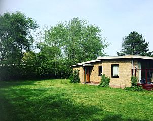 Sonniger Auenbereich des Bungalows 0790 im Bungalowpark 't Hoogelandt, De Dennen, Texel.