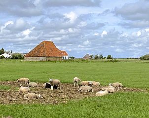 Unterkunft 0113245 - Ferienhaus Texel - Vakantiepark De Bremakker - Akkerveld 42