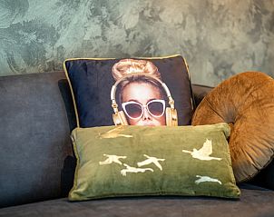 Guest house 0113277 - Holiday property Texel - Vakantiepark De Koorn-aar - Groepsvilla