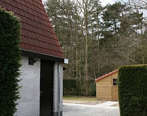 Ruhige Umgebung des Ferienhauses Gortersmient 354 in De Dennen, Texel mit der umliegenden Natur.