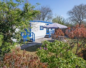 Quiet garden at Vakantiepark de Bremakker Weideveld 61, Texel, vacation home in De Dennen, ideal for relaxation.