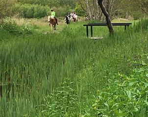 Geniet van de natuurlijke omgeving bij Vakantiepark De Bremakker - Chalet 1140 in De Dennen, Texel met prachtige groene landschappen.