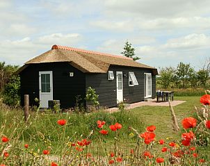 Guest house 0113348 - Holiday property Texel - Bremakker Akkerveld Boerderijchalet