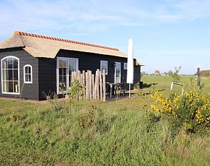 Guest house 0113348 - Holiday property Texel - Bremakker Akkerveld Boerderijchalet