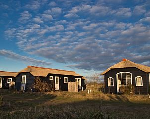 Guest house 0113348 - Holiday property Texel - Bremakker Akkerveld Boerderijchalet