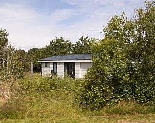 Verblijf 0113350 - Vakantiewoning Texel - Bremakker Akkerveld 49 - 53a huisdiervrij
