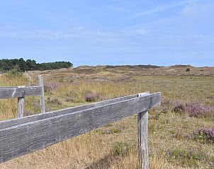 Guest house 011504 - Holiday property Texel - Florijn 3
