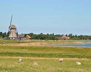 Guest house 011504 - Holiday property Texel - Florijn 3