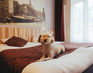 Unterkunft 015101 - Appartement Amsterdam eo - Hotel Asterisk 3 star superior