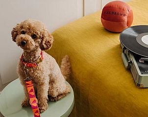 Guest house 0151164 - Apartment Amsterdam eo - Max Brown Hotel Canal District