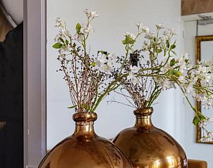 Guest house 0151249 - Apartment Amsterdam eo - Boutique Hotel View