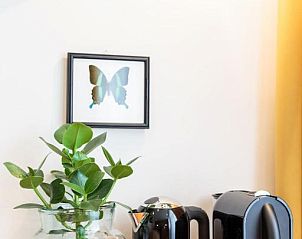 Guest house 0151539 - Apartment Amsterdam eo - Hotel Dwars