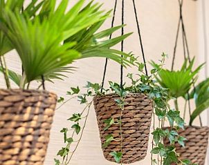 Guest house 0151539 - Apartment Amsterdam eo - Hotel Dwars