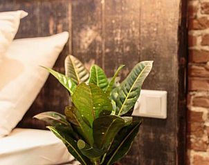 Guest house 0151539 - Apartment Amsterdam eo - Hotel Dwars