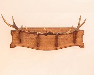 Guest house 0151539 - Apartment Amsterdam eo - Hotel Dwars